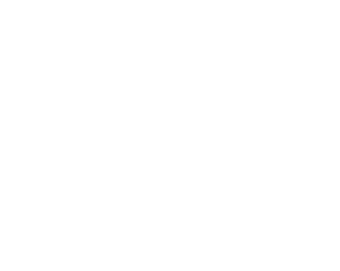 Fast Food